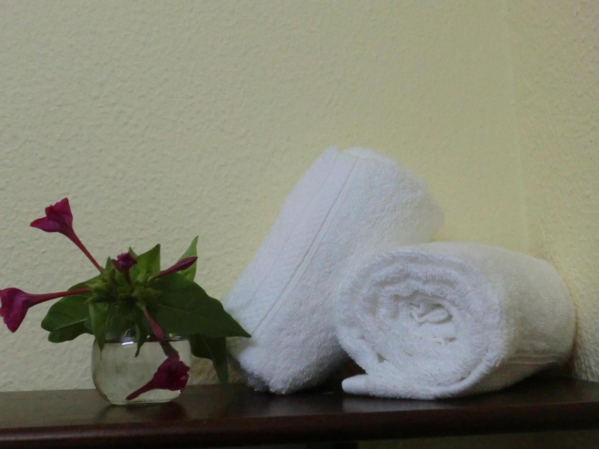 Varandas De Alter Hotel & Spa Alter do Chão Eksteriør bilde