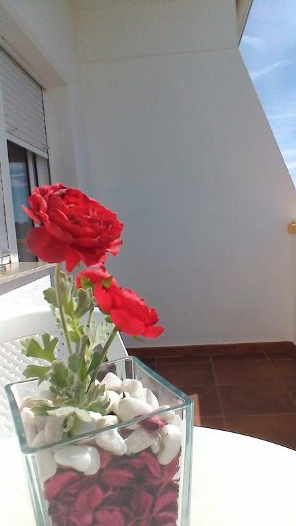 Varandas De Alter Hotel & Spa Alter do Chão Eksteriør bilde